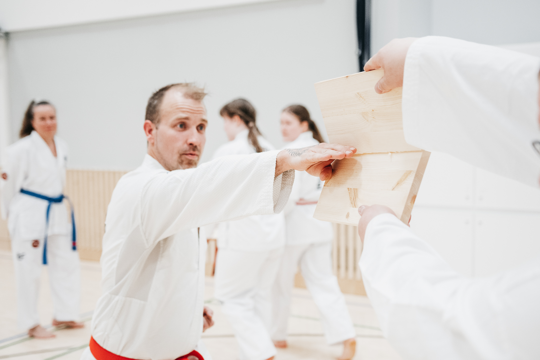 Kesän 2026 alkeiskurssien ilmoittautuminen on nyt avoinna!